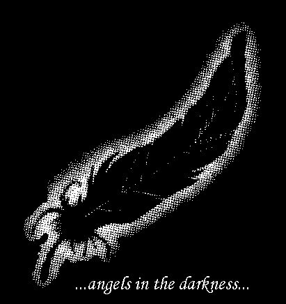 ...angels in the darkness...